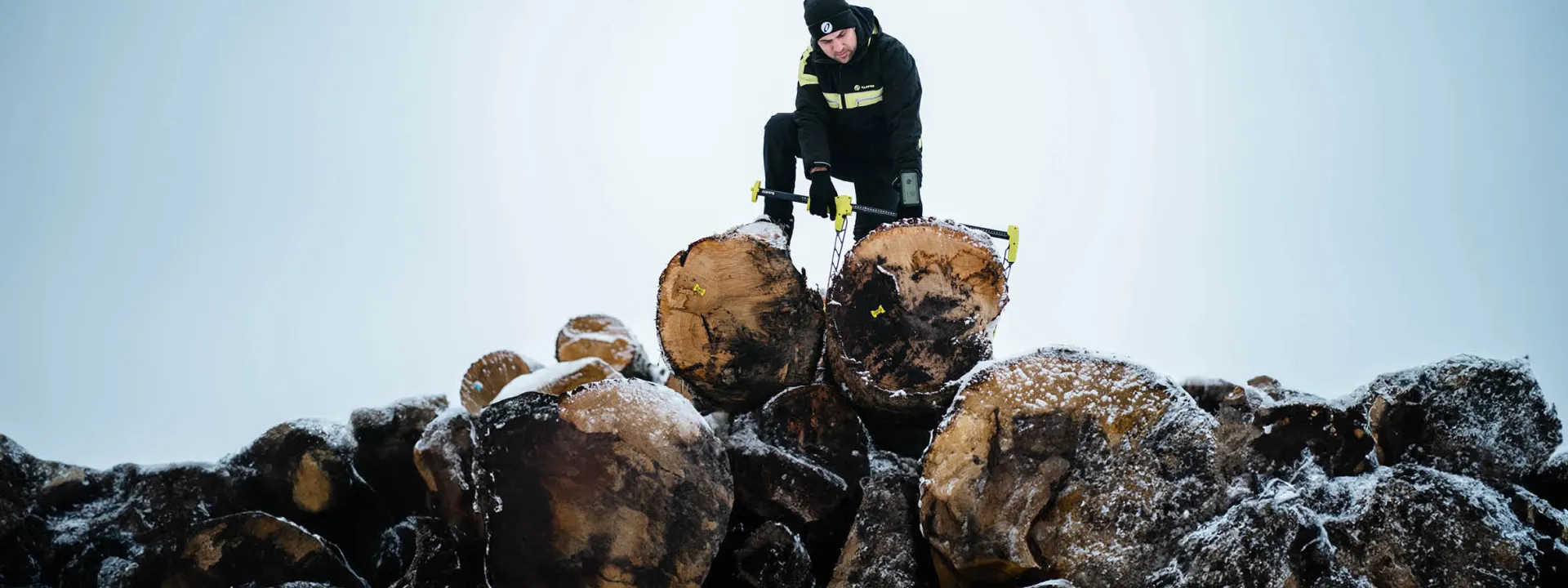 FORESTRY INFORMATION SYSTEM TAJFUN